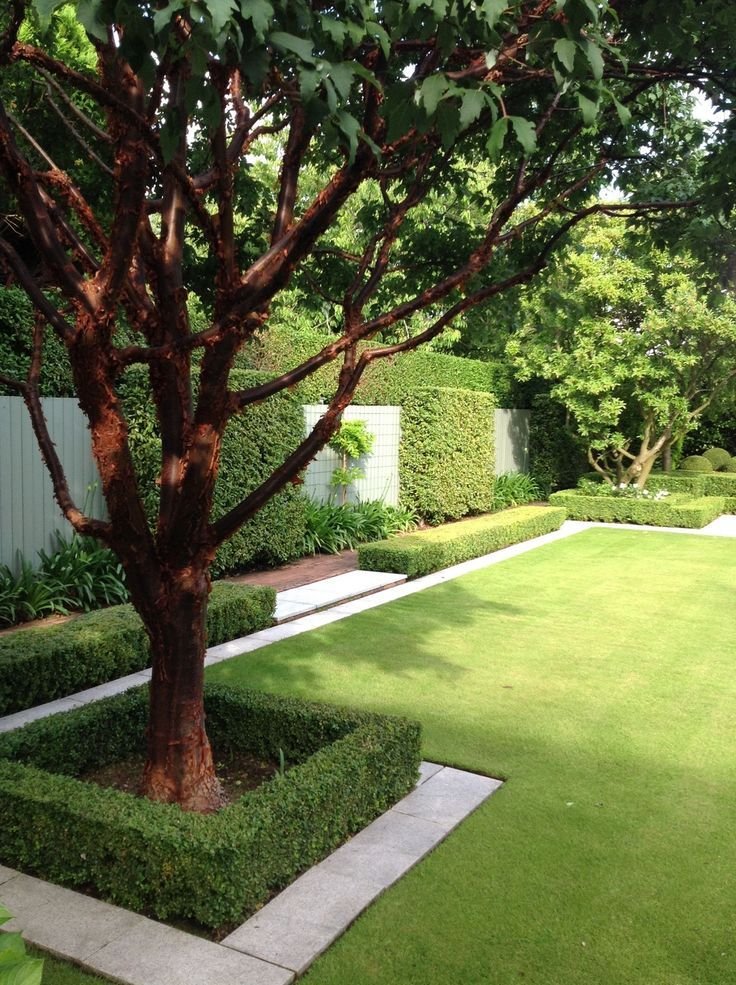 Existing ornamental trees — key focal elements of the garden