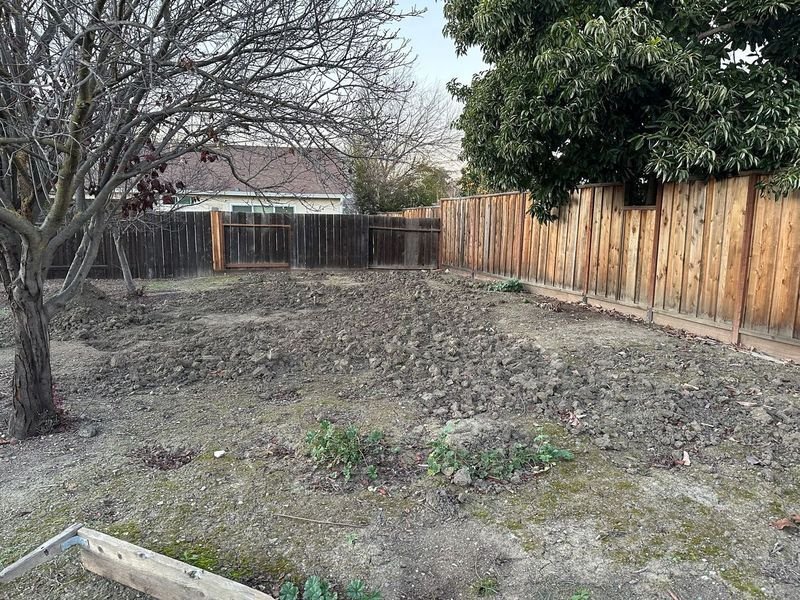 Hedge and ground cover boundary option