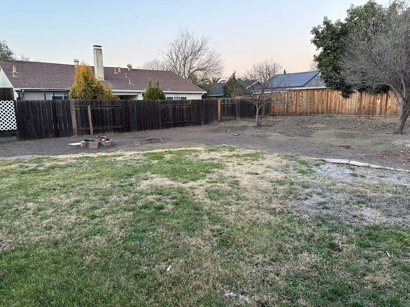 Existing rear boundary — sparse grass meeting timber fence directly